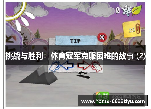 挑战与胜利：体育冠军克服困难的故事 (2)